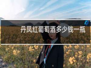 丹凤红葡萄酒多少钱一瓶