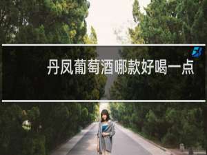 丹凤葡萄酒哪款好喝一点