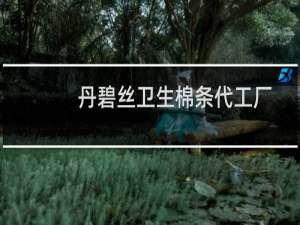 丹碧丝卫生棉条代工厂（丹碧丝卫生棉条好用吗）