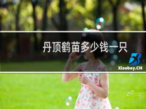 丹顶鹤苗多少钱一只