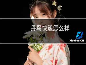 丹鸟快递怎么样