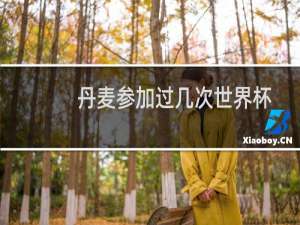 丹麦参加过几次世界杯