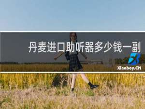 丹麦进口助听器多少钱一副