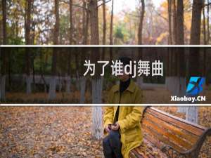 为了谁dj舞曲