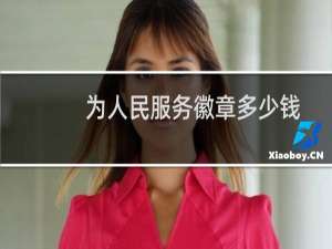 为人民服务徽章多少钱