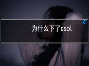 为什么下了csol