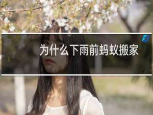 为什么下雨前蚂蚁搬家