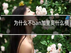 为什么不ban加里奥什么梗