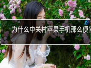 为什么中关村苹果手机那么便宜