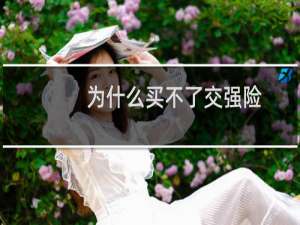 为什么买不了交强险