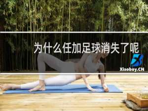 为什么任加足球消失了呢