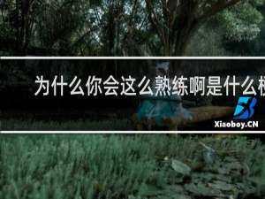 为什么你会这么熟练啊是什么梗，就是这句台词让我记住了整部动漫什么梗