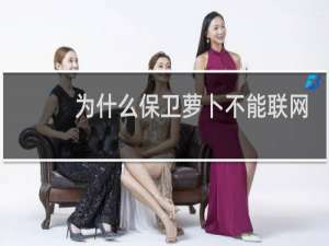 为什么保卫萝卜不能联网