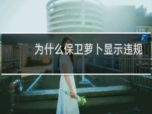 为什么保卫萝卜显示违规