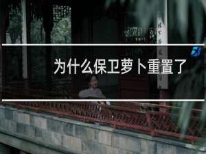 为什么保卫萝卜重置了