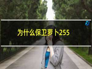 为什么保卫萝卜255