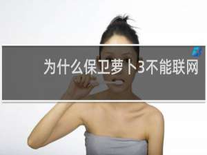 为什么保卫萝卜3不能联网