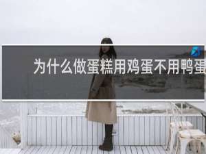 为什么做蛋糕用鸡蛋不用鸭蛋