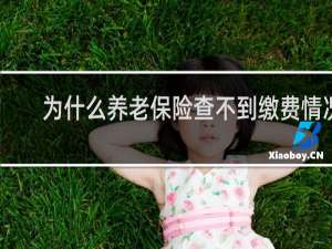 为什么养老保险查不到缴费情况