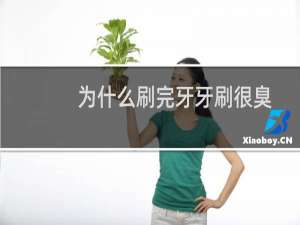 为什么刷完牙牙刷很臭