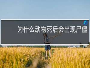 为什么动物死后会出现尸僵