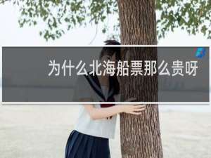 为什么北海船票那么贵呀