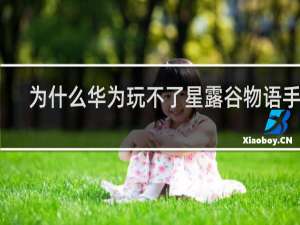 为什么华为玩不了星露谷物语手游