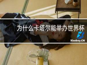 为什么卡塔尔能举办世界杯