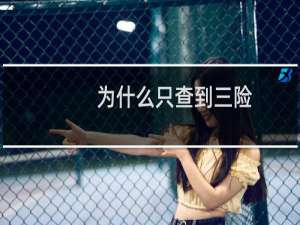 为什么只查到三险