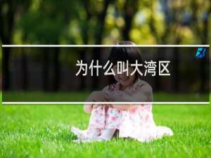 为什么叫大湾区