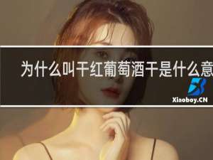 为什么叫干红葡萄酒干是什么意思