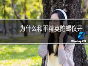 为什么和平精英陀螺仪开了用不了