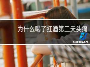 为什么喝了红酒第二天头痛
