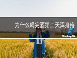 为什么喝完酒第二天浑身疼