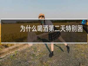 为什么喝酒第二天特别困