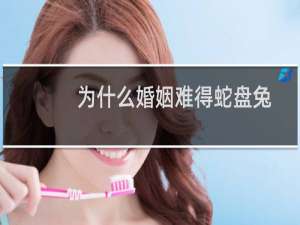 为什么婚姻难得蛇盘兔