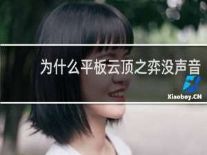 为什么平板云顶之弈没声音