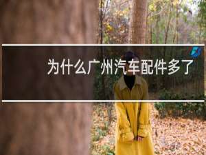 为什么广州汽车配件多了