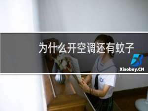 为什么开空调还有蚊子