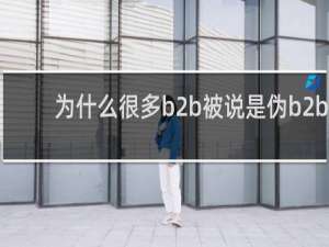 为什么很多b2b被说是伪b2b