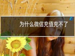 为什么微信充值充不了