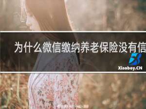 为什么微信缴纳养老保险没有信息
