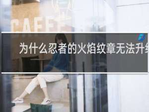 为什么忍者的火焰纹章无法升级