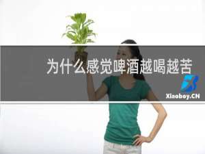 为什么感觉啤酒越喝越苦