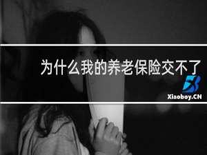 为什么我的养老保险交不了
