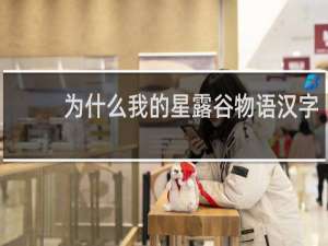 为什么我的星露谷物语汉字