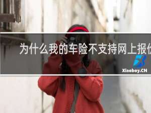 为什么我的车险不支持网上报价