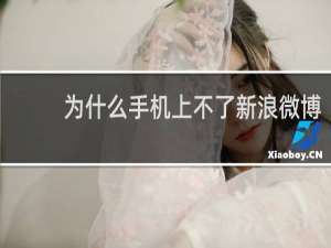 为什么手机上不了新浪微博
