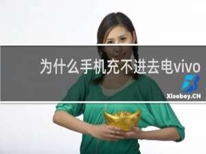 为什么手机充不进去电vivo