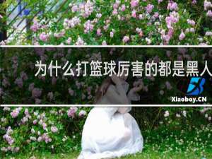 为什么打篮球厉害的都是黑人